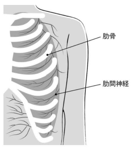 肋間神経痛 自由が丘あゆむ整体院 骨盤矯正 筋膜リリース