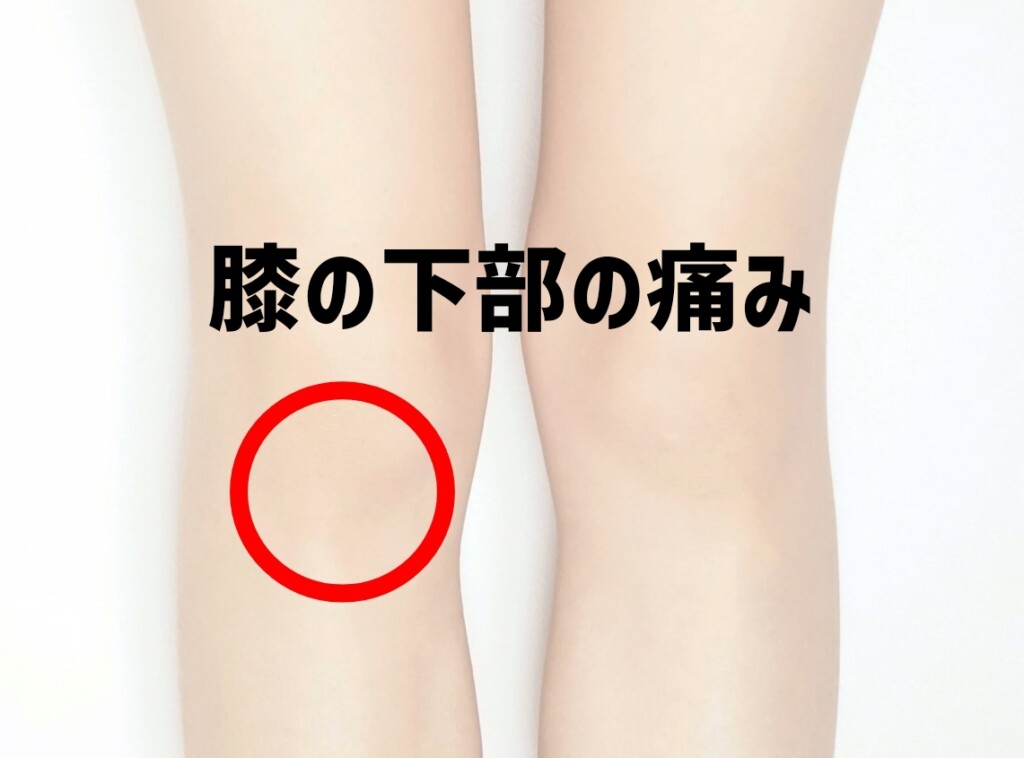 膝の下部の痛み