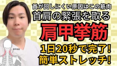 首が回らない原因は“肩甲挙筋”だった！たった20秒で首がスルッと回るストレッチ【肩こり・頭痛にも◎】