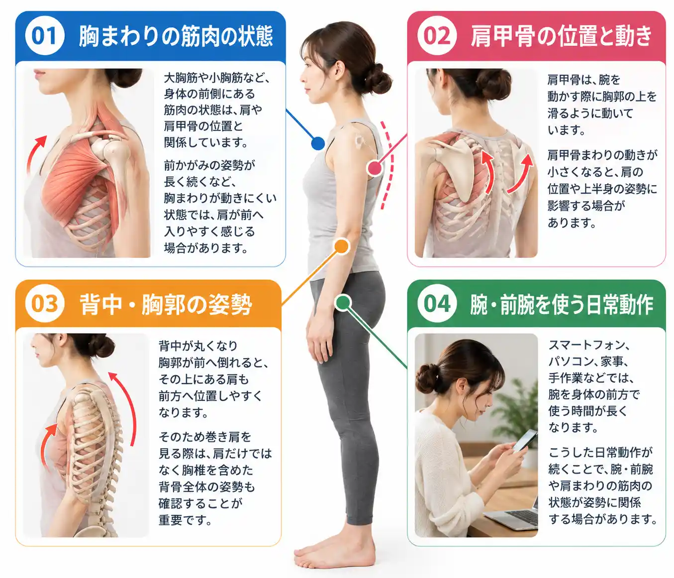 巻き肩に関係する4つの要因を解説した図解。胸まわりの筋肉の状態、肩甲骨の位置と動き、背中・胸部の姿勢、スマートフォンやパソコンなどで腕を前に出す日常動作を紹介。